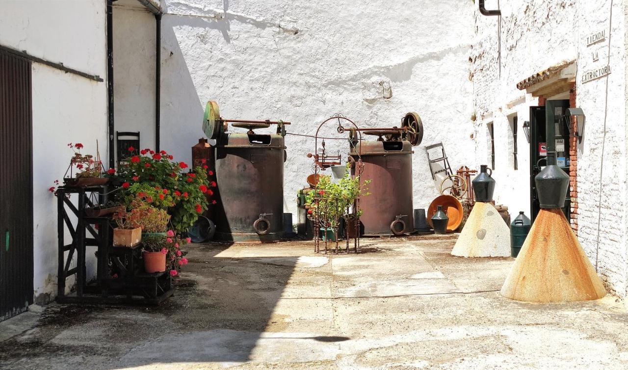 Maison d'hôtes Molino El Vinculo à Zahara De La Sierra Extérieur photo