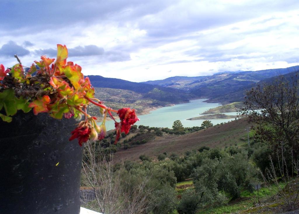 Maison d'hôtes Molino El Vinculo à Zahara De La Sierra Chambre photo